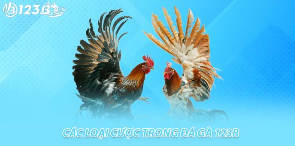 Các thể loại chọi gà kịch tính hàng đầu
