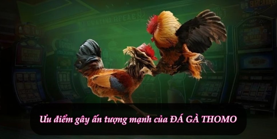 Cửa Wala đặt cược cực cuốn cho hội viên