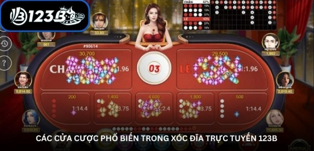 Hướng dẫn chi tiết cách đặt cược vị