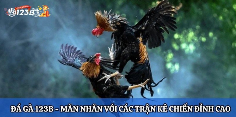 Hướng dẫn chi tiết quy trình vần đòn chuẩn