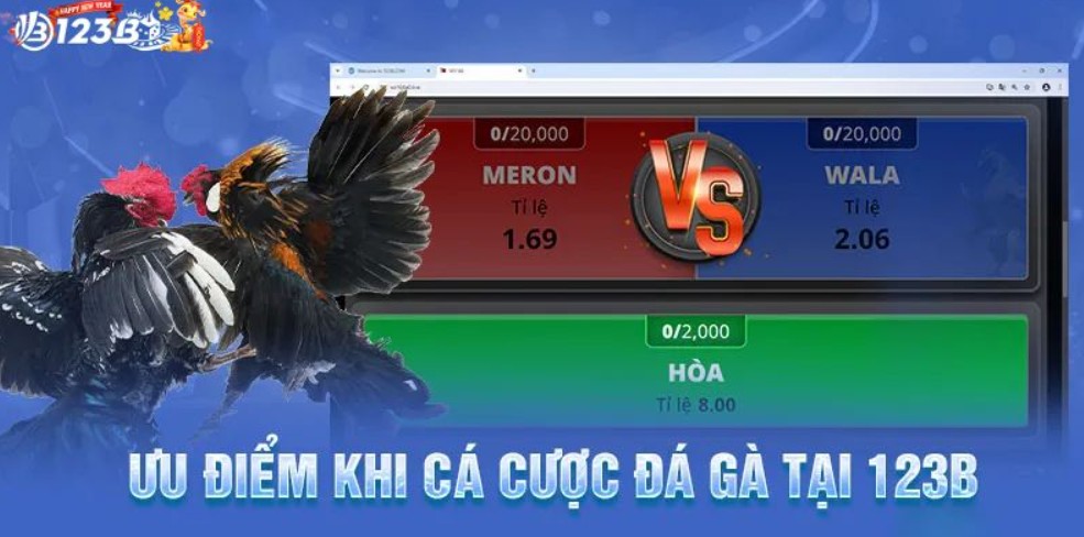 Khả năng chịu đòn xuất sắc của Asil