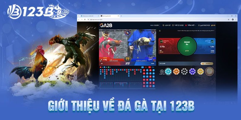 Khái quát về giải trí nạp & cược đá gà Thomo