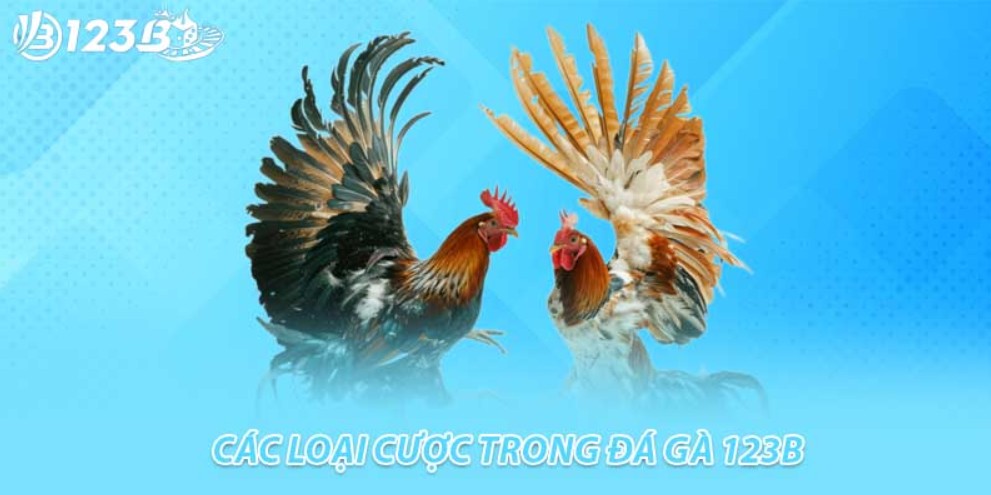 Lưu ý về xác nhận giao dịch tiền tệ