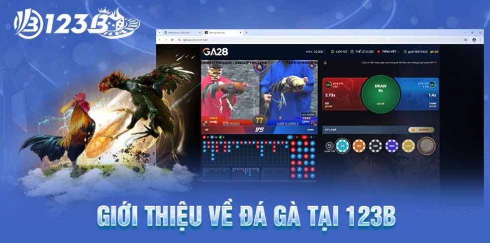 Những loại kèo cược phổ biến tại mục
