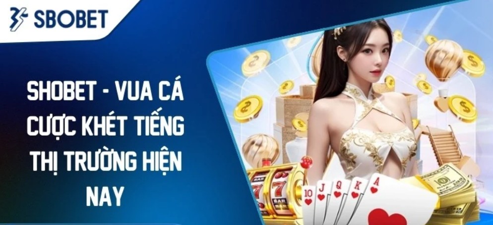 Theo dõi bảng kèo đưa ra quyết định chính xác