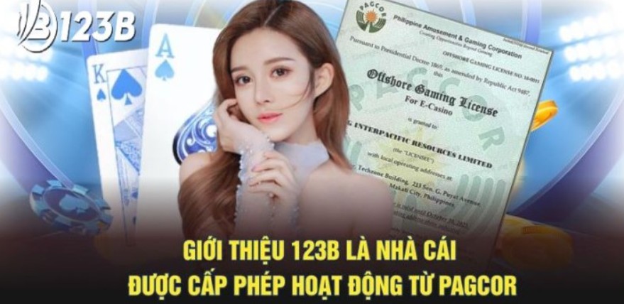 Thông tin chi tiết giới thiệu 123B uy tín